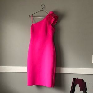 Hot Pink Eliza J Dress